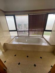 The Draycott (D10), Apartment #435664831